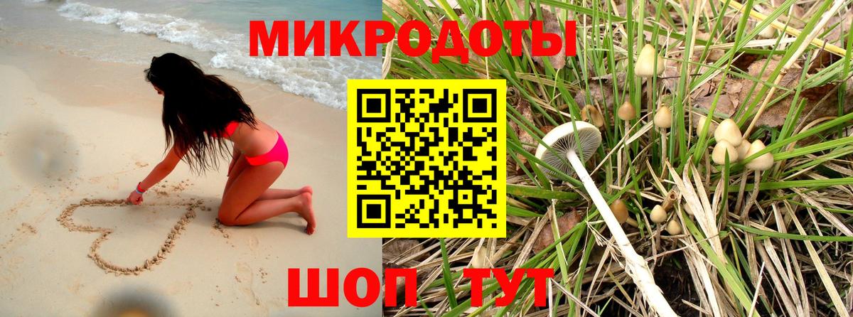 Псилоцибиновые грибы Cubensis Домодедово
