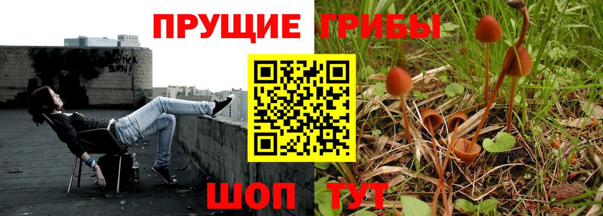 Домодедово  Псилоцибиновые грибы MAGIC MUSHROOMS  Вход с VPN 